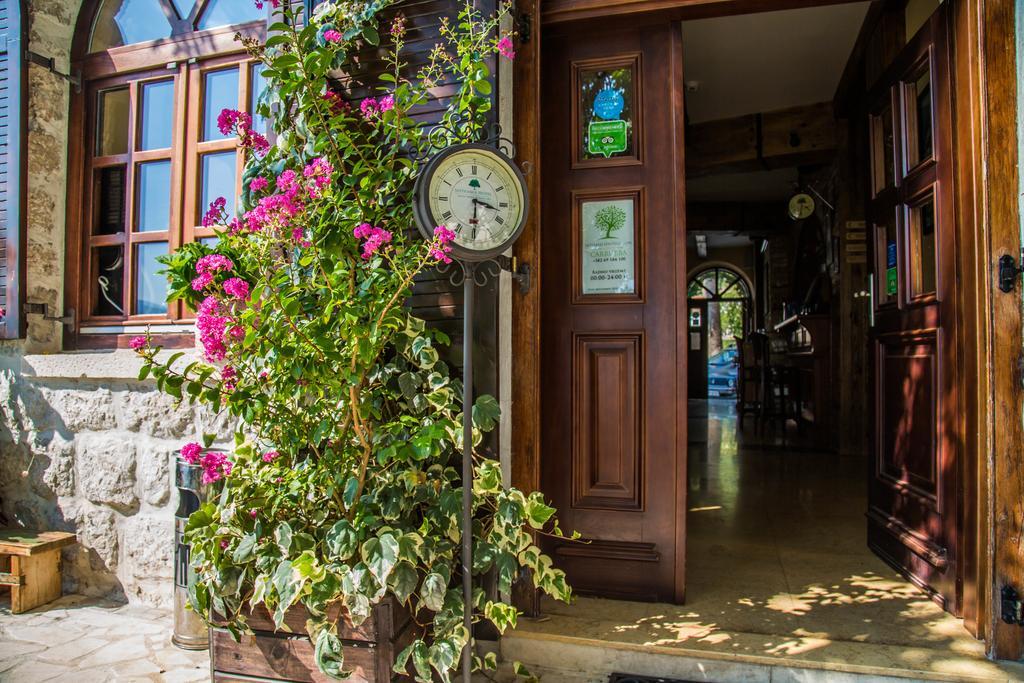 Hotel Carrubba ドンヤ・ラストヴァ エクステリア 写真
